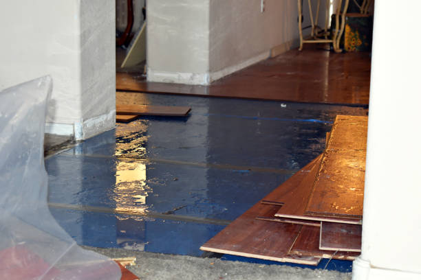 Professional Burst Pipe Cleanup technician working in Antrim, NH